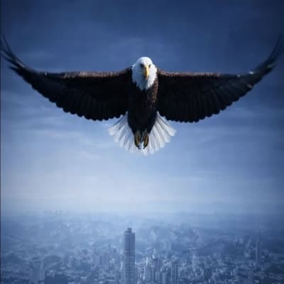 2 Pizzas – Tamanho 1 GG + 1G